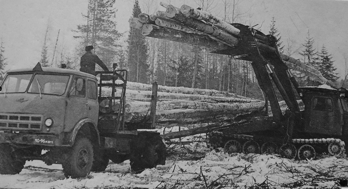 40 лет назад организован Балыкский леспромхоз