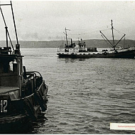 Рыбообрабатывающий флот